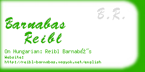 barnabas reibl business card